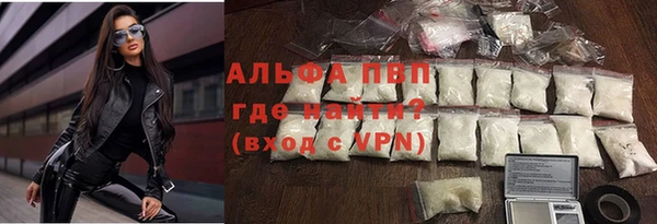 крисы Зерноград