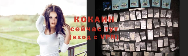 крисы Зерноград