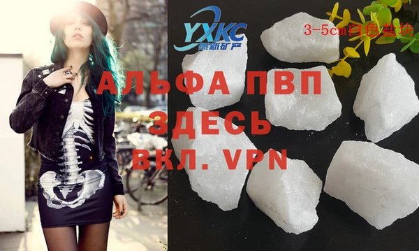 крисы Зерноград