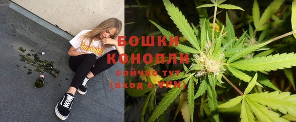 крисы Зерноград