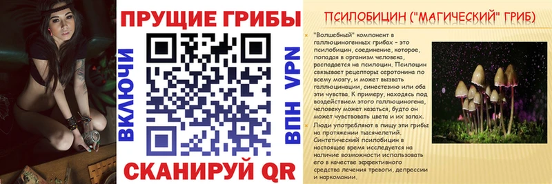 Купить закладки  Менделеевск  Псилоцибиновые грибы MAGIC MUSHROOMS 